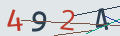 verifycode